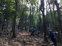 -火炉山森林公园
