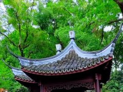-上海醉白池公园
