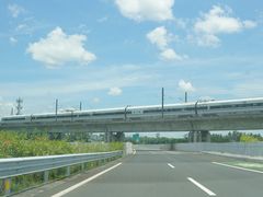 -吉英盐焗鸡(文中路店)