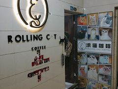 -滚猫咖啡·猫咖·猫友好撸猫(未来城店)