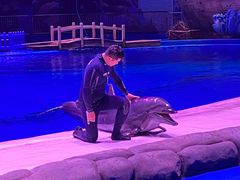 -华夏文旅海洋公园