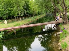 -上海滨江森林公园