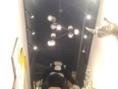 -ZOO COFFEE动物园咖啡(望京锐创店)