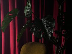 -JZ Club 爵士酒吧(上海店)