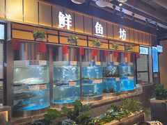 -老船舫·现做活鲜鱼馆(东郊记忆店)