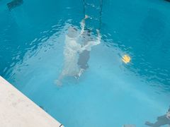 -金泽21世纪美术馆