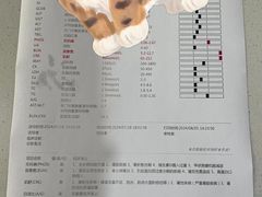 -A猫a狗全科·犬猫异宠·芥西宠物医院(南开总院)