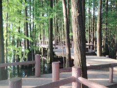 -东湖落雁景区