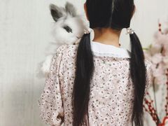 -雨林宠物医院 非犬猫异宠专科