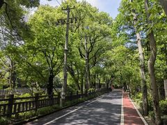 -上海佘山国家森林公园西佘山园