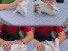 -SHRIMP CLUB万东餐饮钓虾·清吧