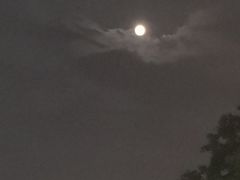 -火炉山森林公园