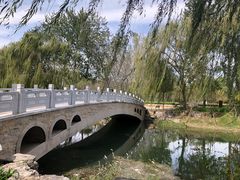 -北坞公园