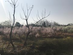 -熊猫厨房