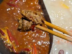 -阳阳老火锅(小南门店)