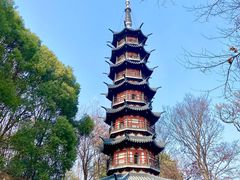 -上海佘山国家森林公园西佘山园