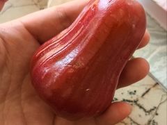 -都江堰石锅鱼