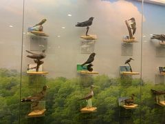 -下渚湖国家湿地公园科普馆