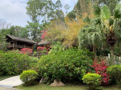 -深圳国际园林花卉博览园