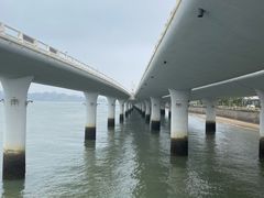 -演武大桥观景平台