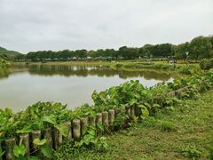 -风云岭森林公园