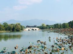 -飞来湖湿地公园