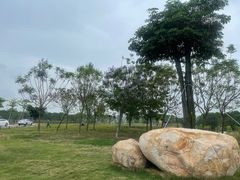 -露天矿生态公园