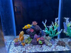 -秦皇岛新澳海底世界