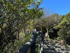 -梧桐山风景名胜区