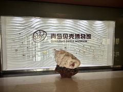 -青岛贝壳博物馆
