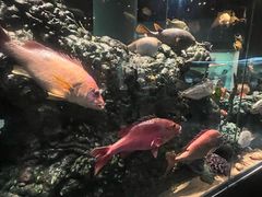 -天津自然博物馆