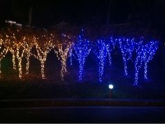 iphone_upload_pic-天目湖御水温泉·度假酒店