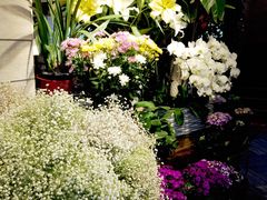 iphone_upload_pic-春暖花开(西溪店)