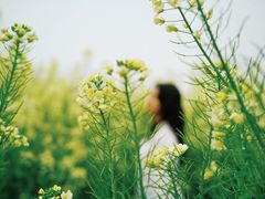 -中国天府农业博览园