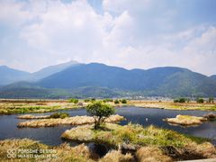-腾冲北海湿地