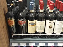 -谢列梅捷沃国际机场