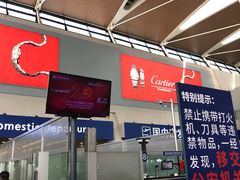 -上海浦东国际机场-T2航站楼