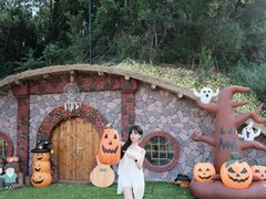 -云栖山谷野奢营地