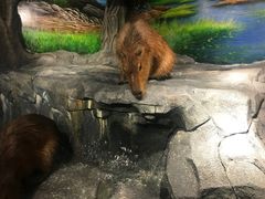 -正佳雨林生态植物园