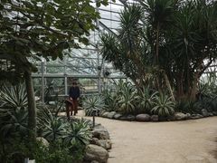-南山植物园
