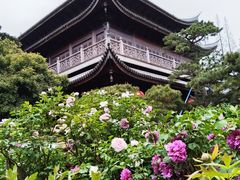 -龙华寺
