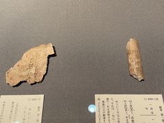 -东京国立博物馆
