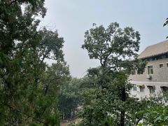 -潭柘寺景区