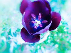 -长春公园(普阳街道)