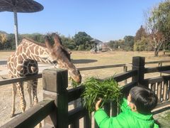 -宁波野生动物园