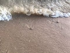 -海角城白海豚浪漫海滩