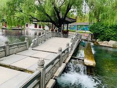 -百脉泉景区