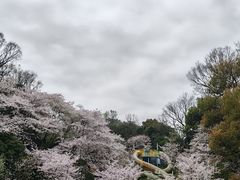 -杭州少年儿童公园