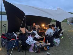 -春花秋色城市公园