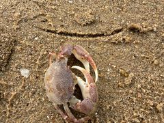 -嵊泗基湖沙滩